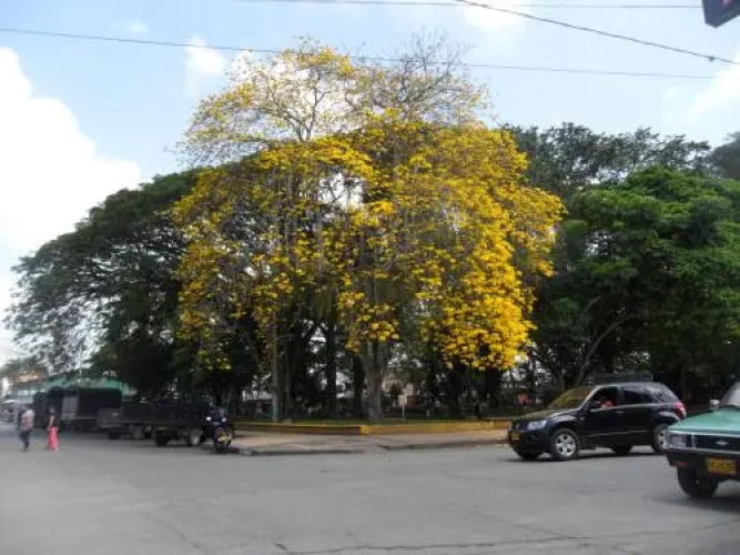 Tesoro Andino