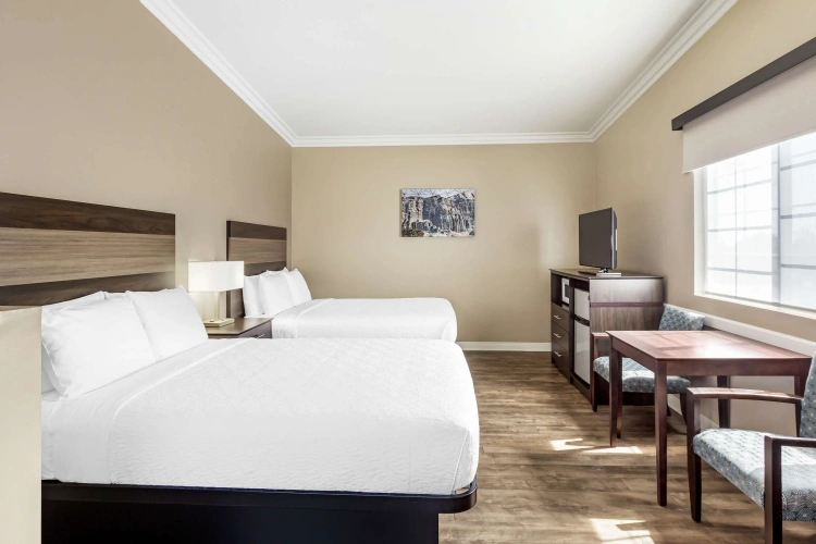 Quadruple Suite