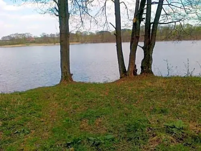 domek blisko Grunwaldu