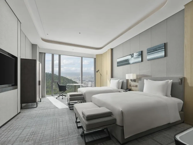 Deluxe Twin room with mountain view