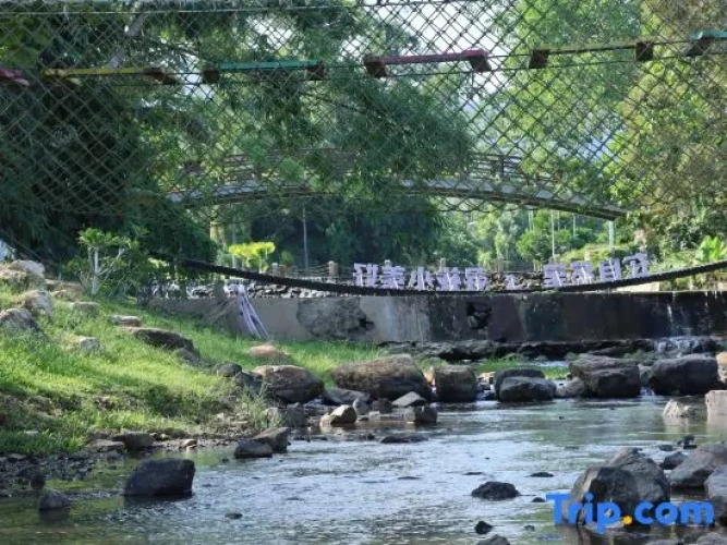 Watermark