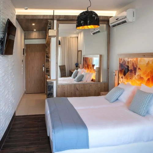 Standard Double room with balcony and with garden view