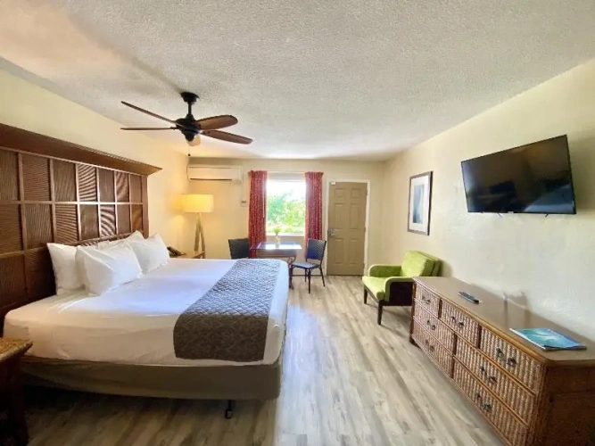Standard Single room with ocean view
