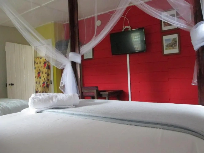 Standard Double room with view