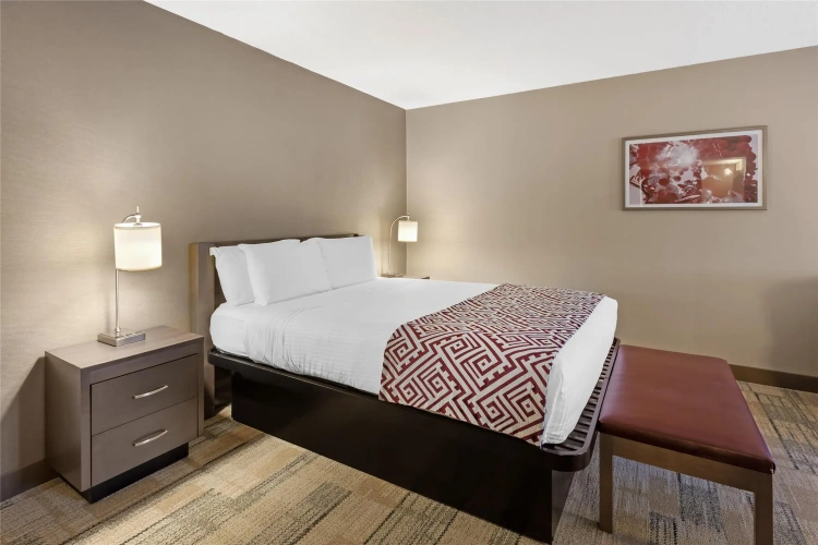 Superior Double Suite