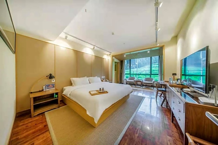 Standard Double room with garden view