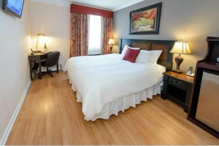 1 Bedroom Standard Double room