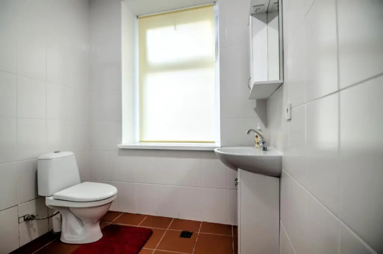 Apartment on Knyazya Leva 2