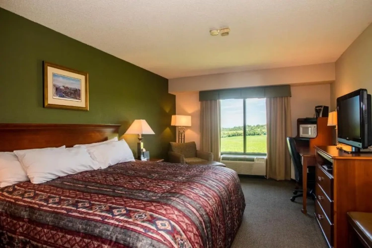 Standard room
