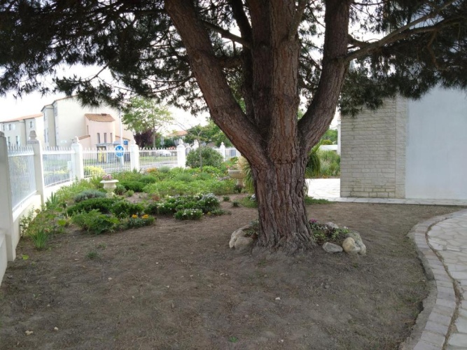 1 Bedroom Quadruple Cottage