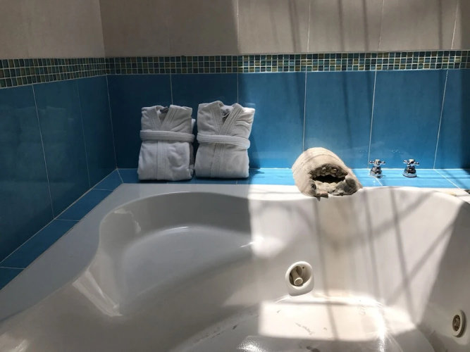 Hotel Puesta del Sol