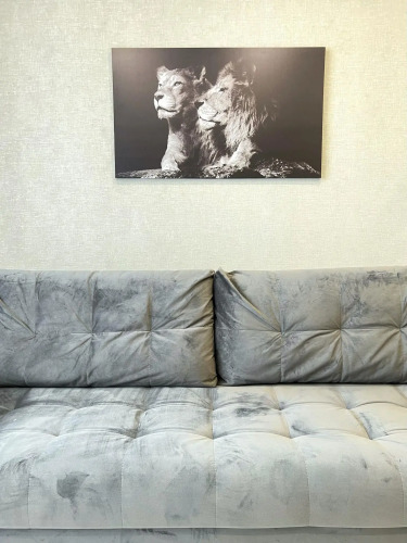 Фотография номера квартиры Kravc Group (Кравц Груп) на улице Земнухова