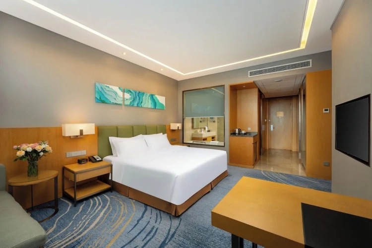 Standard Double room with city view