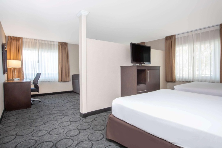Quadruple Studio Suite