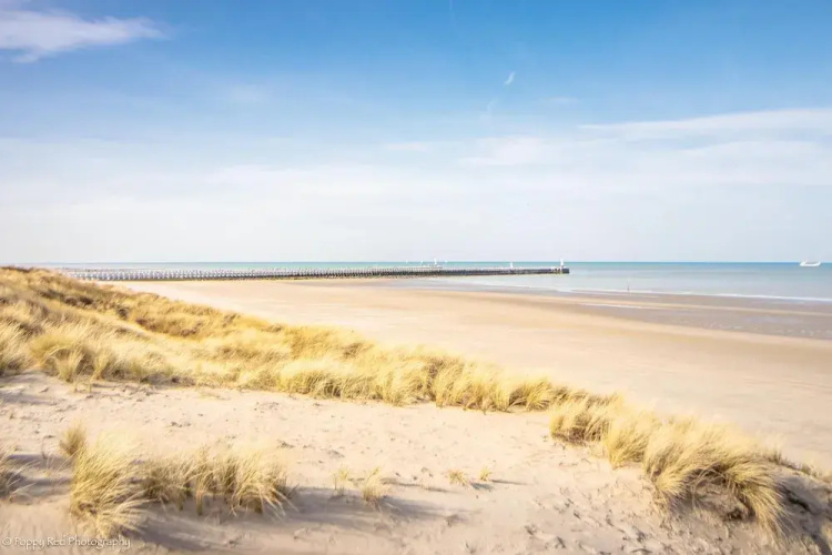 Peaceful Coastal Stay