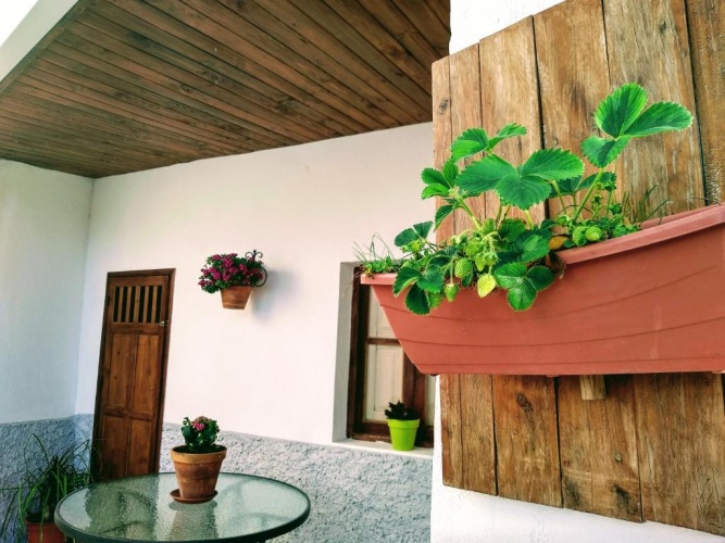 Family Studio