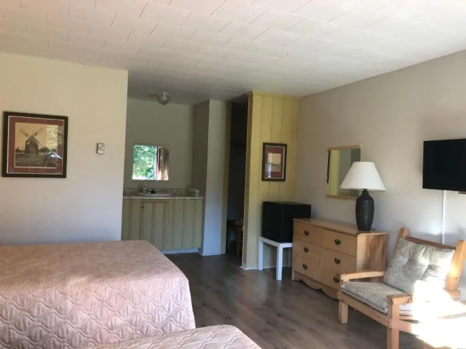 Standard Double room with pool view