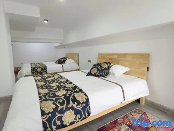 Standard Twin Duplex room