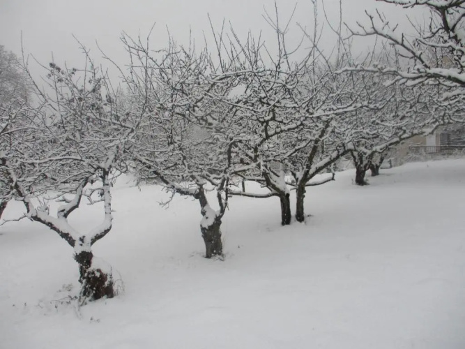 La Pommeraie