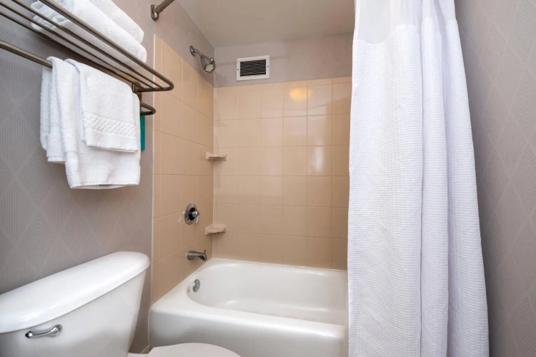 1 Bedroom Executive Double Suite