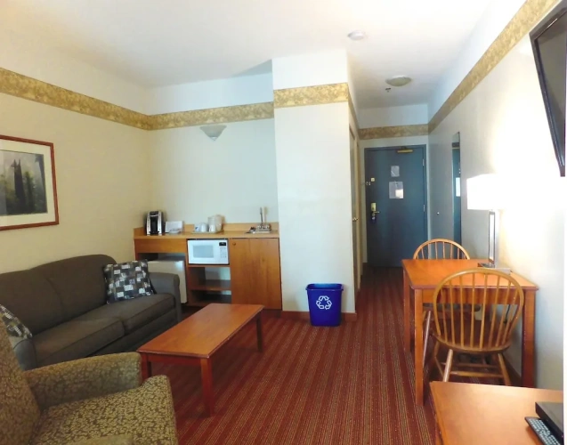 1 Bedroom Suite