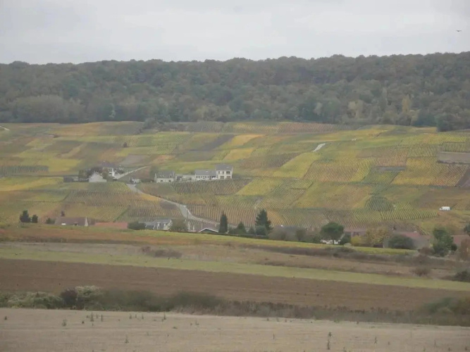 Instant Présent en Champagne