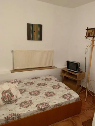 Casa Pitaru