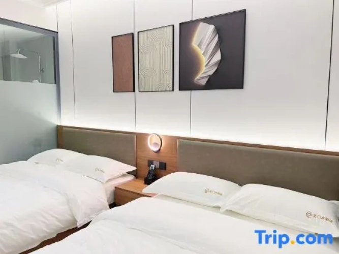 Premium Twin room