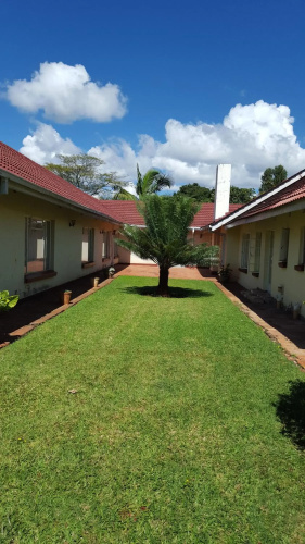 Palm villa