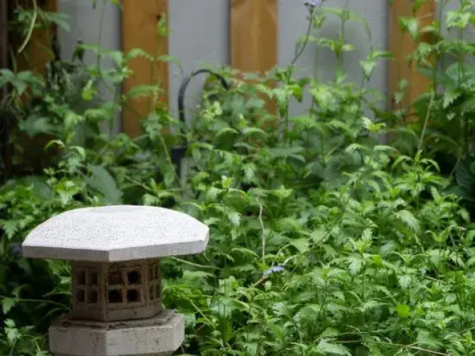 Beijing Liuhe Private Tang B&B