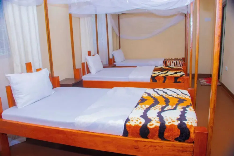 Shamba Hostel