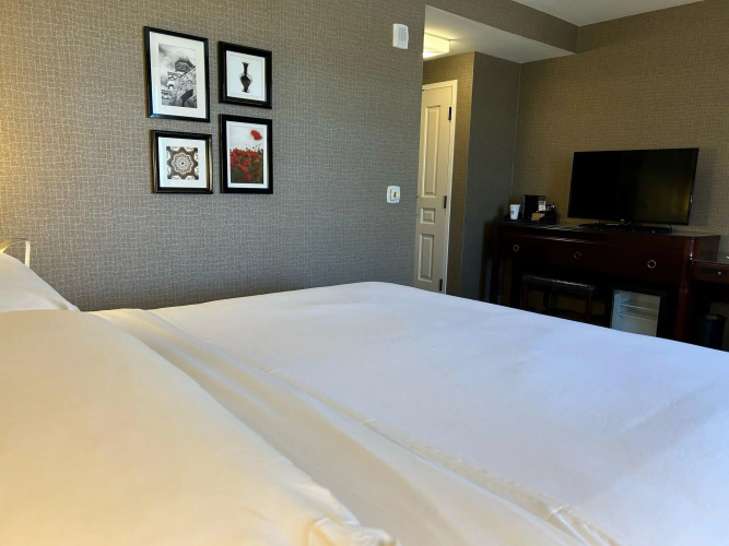Sheraton Austin Georgetown Texas Hotel & Conference Center photo 7