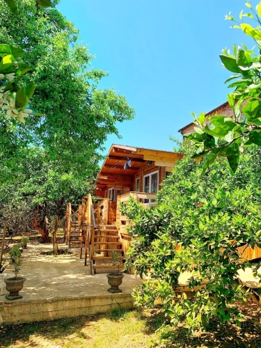 Standard Cottage