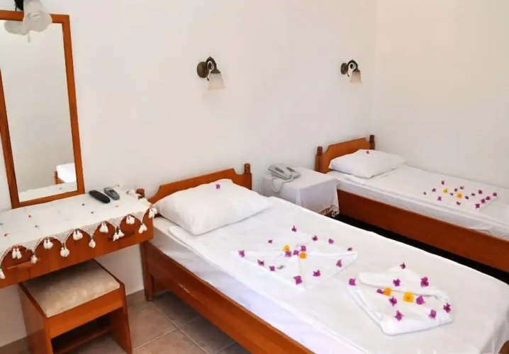 Standard Twin room with balcony and with view