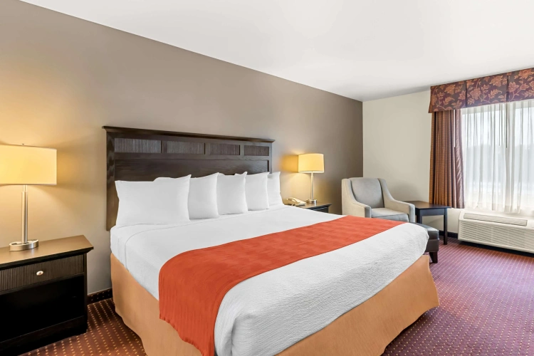 Standard Double room