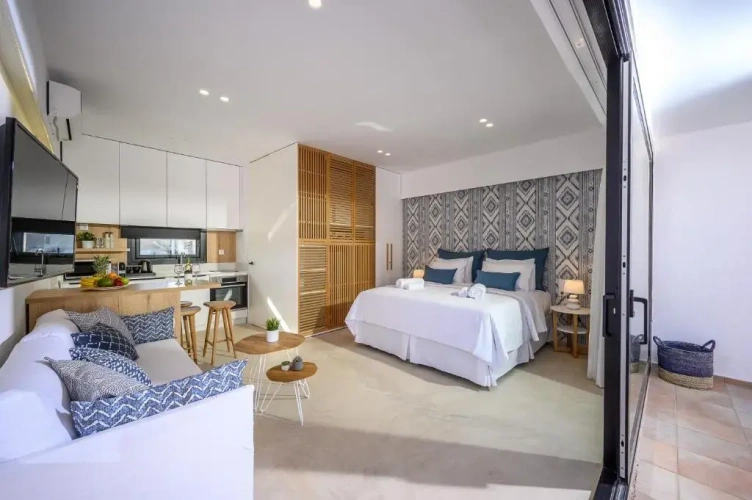 1 Bedroom Apartment