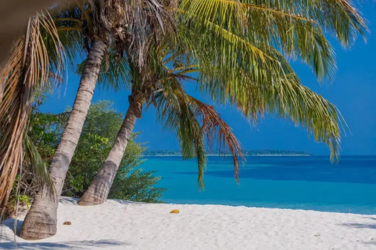 Fehendhoo Stay