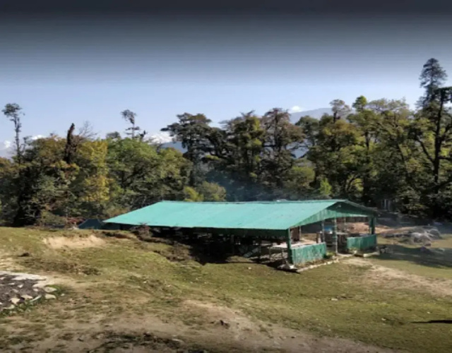 Camping At Natures Nest