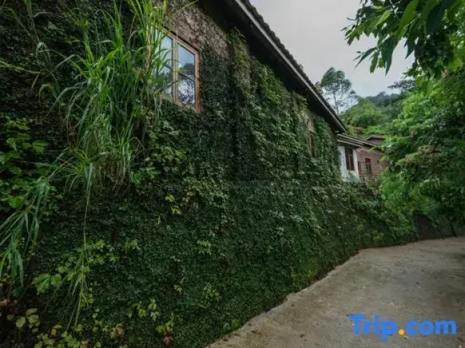 Waiyu Boutique Hostel