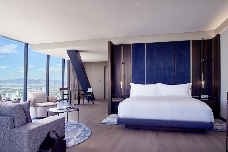 Terrace Double Junior Suite with park view