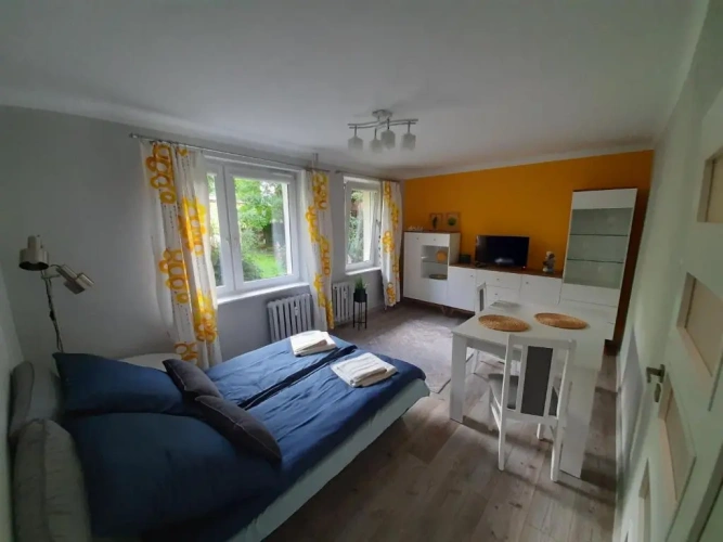1 Bedroom Apartment