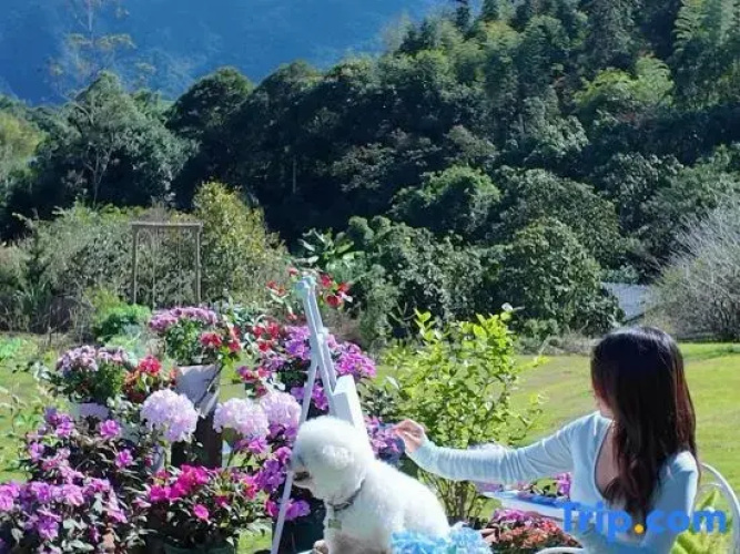 A resort