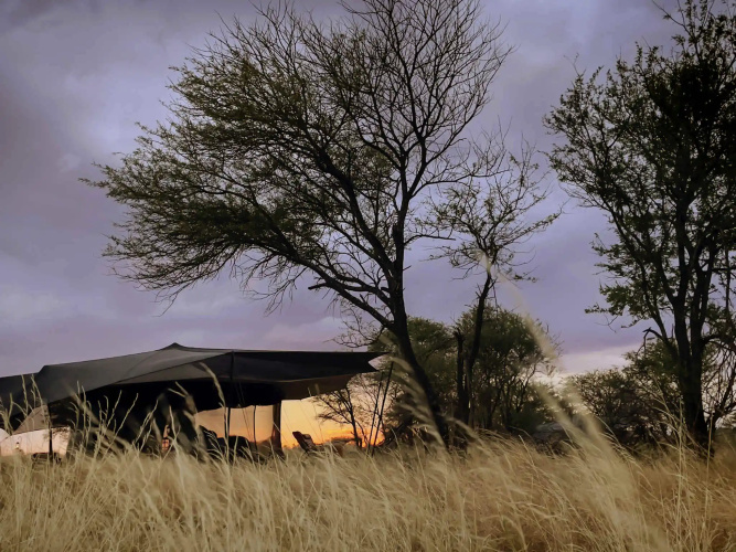 Siringit Migration Camp