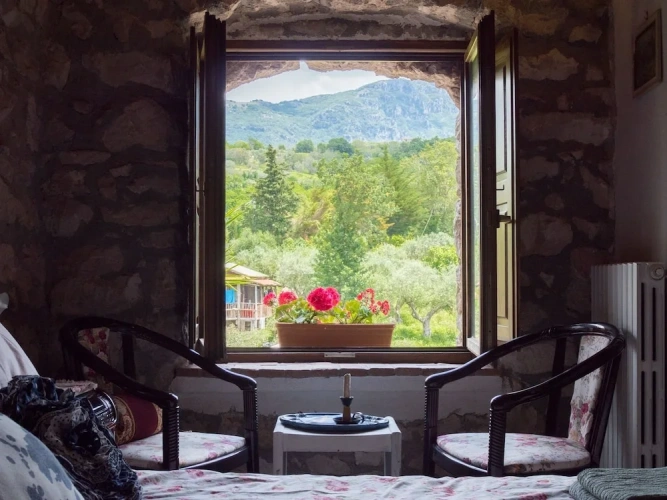Junior Suite with park view