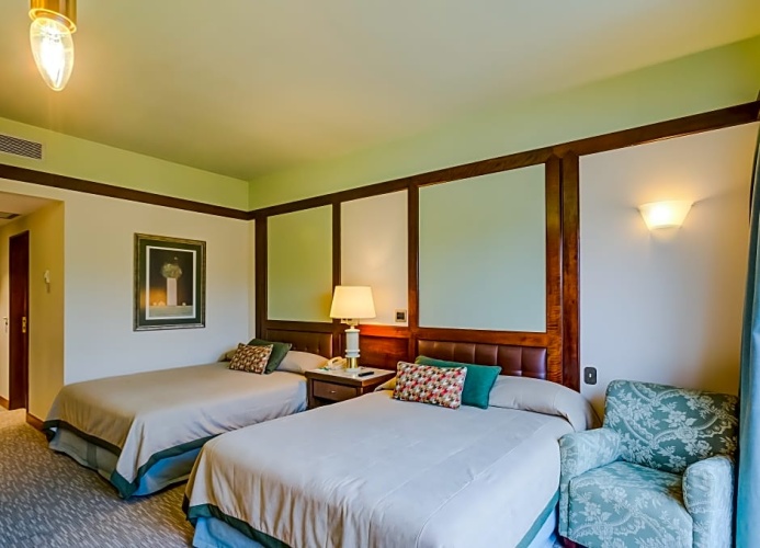 Premier Double room with balcony