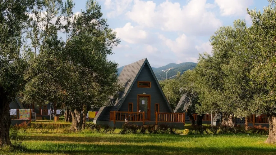 Premium Bungalow