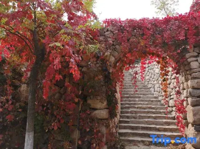 Aolunda Yuanxiang Homestay