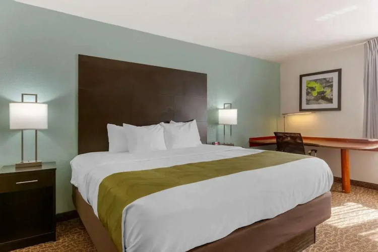 Quality Inn & Suites North