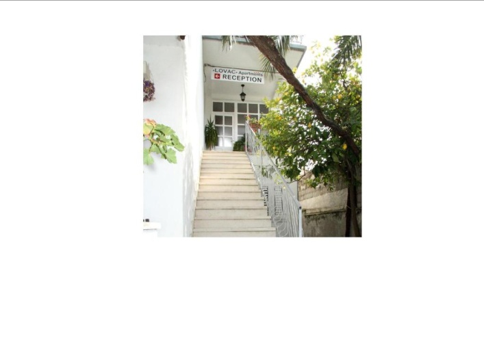 1 Bedroom Apartment with balcony and with sea view
