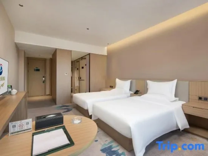 Business Double room with city view